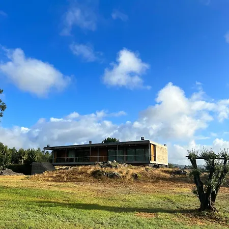 Country Retreat With Vineyard *